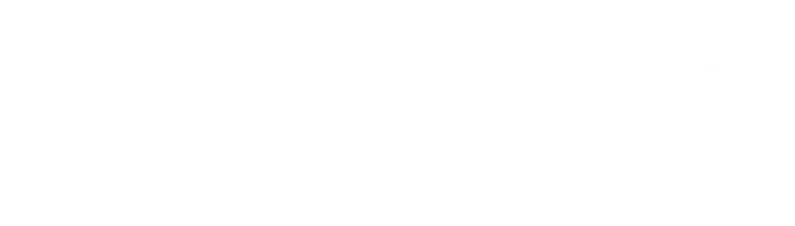 PMAXX Pneus